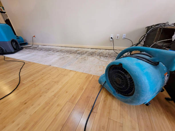 Professional Structural Drying technician working in Leota, MN